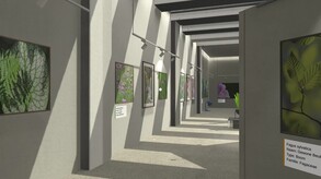 Plant Gallery: A Short Botanic Experience