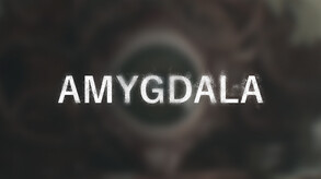 Amygdala - Teaser II 2023
