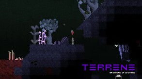 Terrene 2.5 Shorts 3