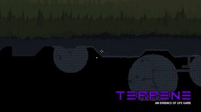 Terrene 2.5 Shorts 5