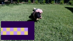 PortalSnake screenshot thumbnail video