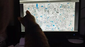 cat