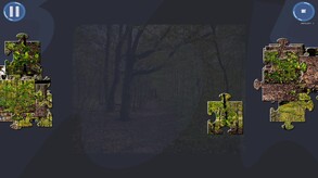 Virtual Jigsaw Puzzles screenshot thumbnail video