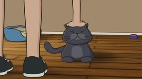 9 Lives to Defend screenshot thumbnail video