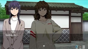 The 257th Element screenshot thumbnail video