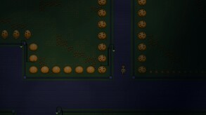 A Stroll in the Night