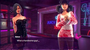 Brothel Secrets 🔞 screenshot thumbnail video