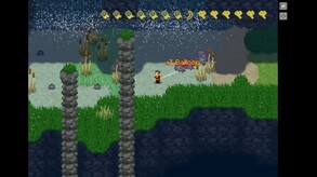 The Everloom