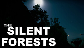 The Silent Forests announcement Trailer