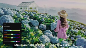 Movavi Photo Editor 2024 screenshot thumbnail video