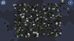 Virtual Jigsaw Puzzles - Animals screenshot thumbnail video