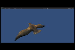 Creatures of Aotearoa Mana: Pouakai