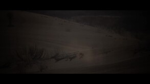 Wild Assault – PV-Worldview and Battle Showcase
