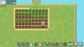 四十后种地生活