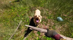 Icarus: Pet Companions Pack screenshot thumbnail video