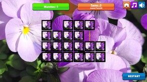 OG Memory: Spring 2K24 screenshot thumbnail video