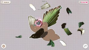 Birds Huddled Together screenshot thumbnail video