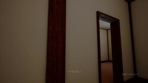Kidnappers_pv