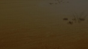 SAND LAND-游戏截图