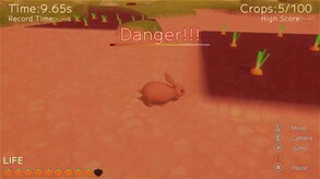 Carrot Paradise