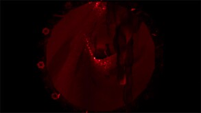 Submergent screenshot thumbnail video