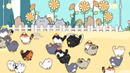 猫语拾光 Cat And Life