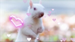 栄養たっぷりの彼氏