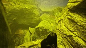 Vribyss Refuge™ The Escape Trailer