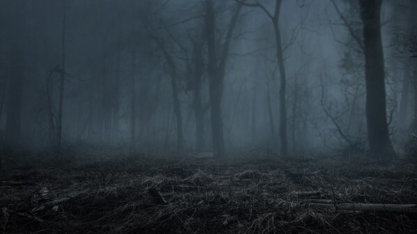 Hunt Grounds - Teaser