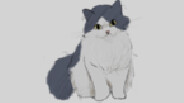 CAT'S DREAM