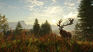 猎人：荒野的召唤-游戏截图