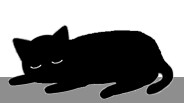 Cat On My Desktop