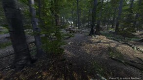Gameplay