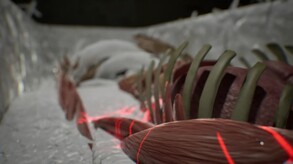 Bopp File screenshot thumbnail video