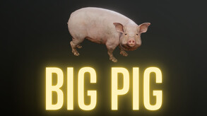 Big Pig