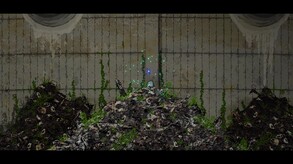 ReleasePromotion video thumbnail for Last Order