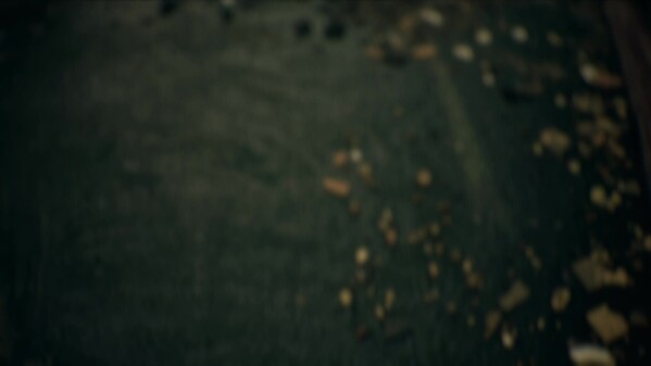 FNW_FirstTeaser_EN