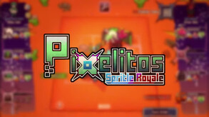 What Are Pixelitos?