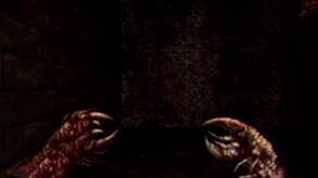 Navicula Meatus trailer