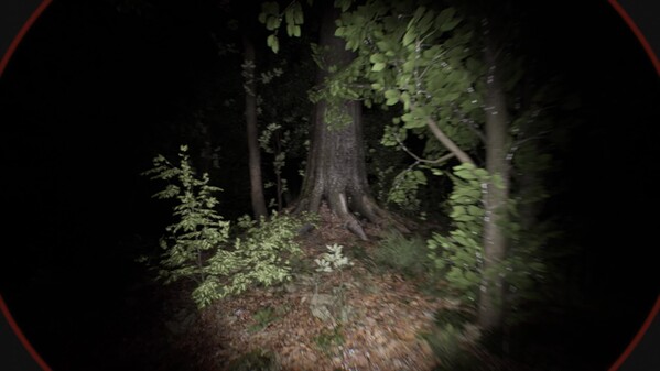 Behind The Veil - Official Trailer