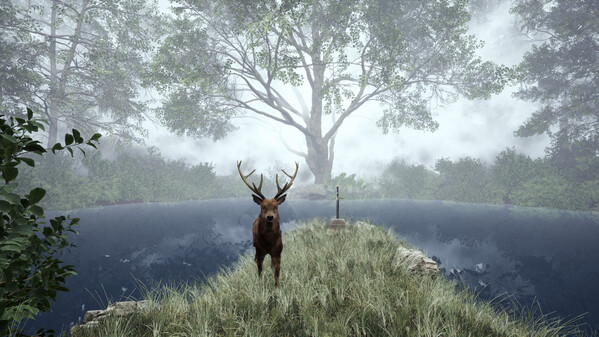 TheLostWoods / 迷いの森 screenshot thumbnail video