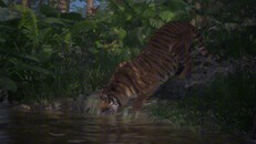 Gameplay | Salt crocodile lunge ability