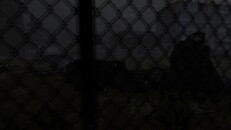 Teaser | Step on the Path.