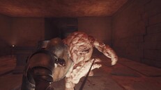 Gameplay | Gameplay
