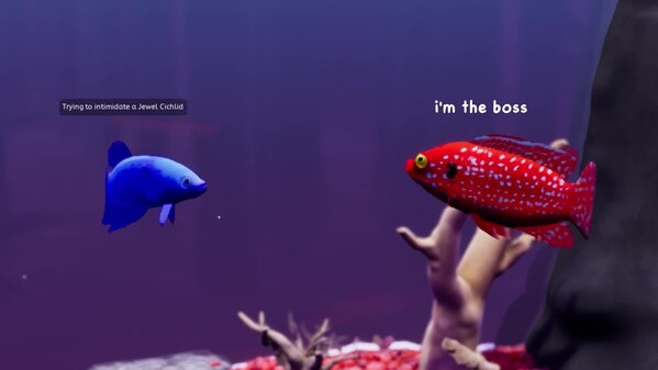 Fish Game screenshot thumbnail video