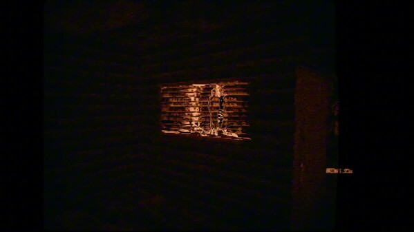 The Whitakers Library - Part 1 screenshot thumbnail video