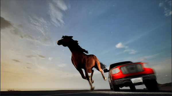 Horse Evolutions Thunder and Lightning