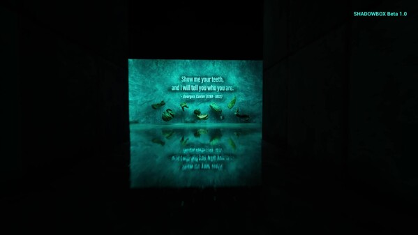 Windows Beta 1.0 Announcement