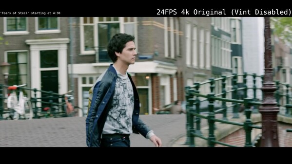 Vint: Realtime Video Interpolation and CRT Emulation screenshot thumbnail video