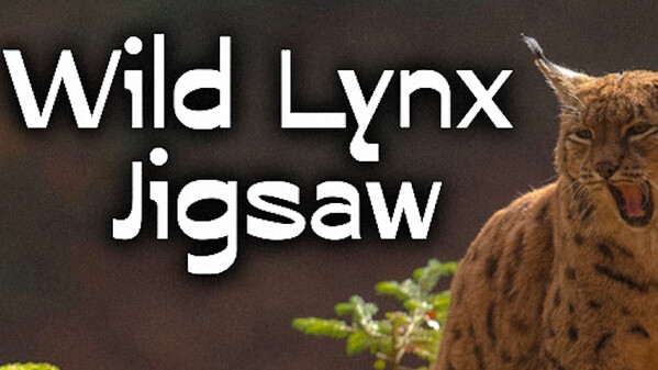 Wild Lynx Jigsaw screenshot thumbnail video